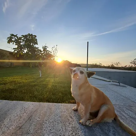 Farmház Lu Nodu *