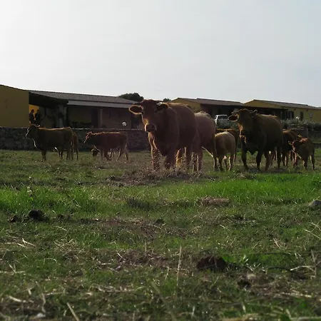 Lu Nodu Vakantieboerderij Greuli