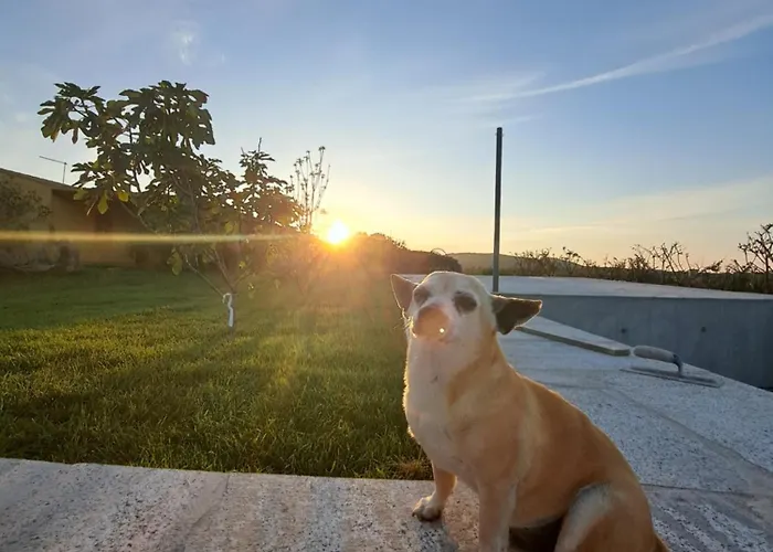 Alloggio per agriturismo Lu Nodu *
