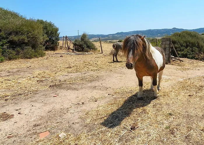 Lu Nodu Alloggio per agriturismo