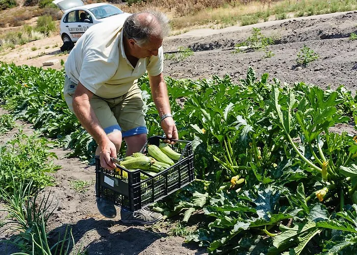 팜스테이 Lu Nodu