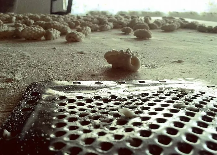 Lu Nodu 팜스테이 Greuli