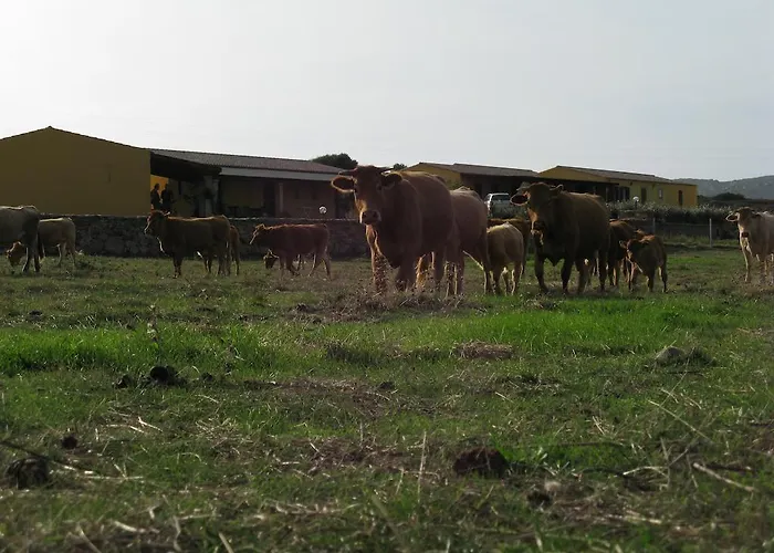 Lu Nodu Alloggio per agriturismo Greuli