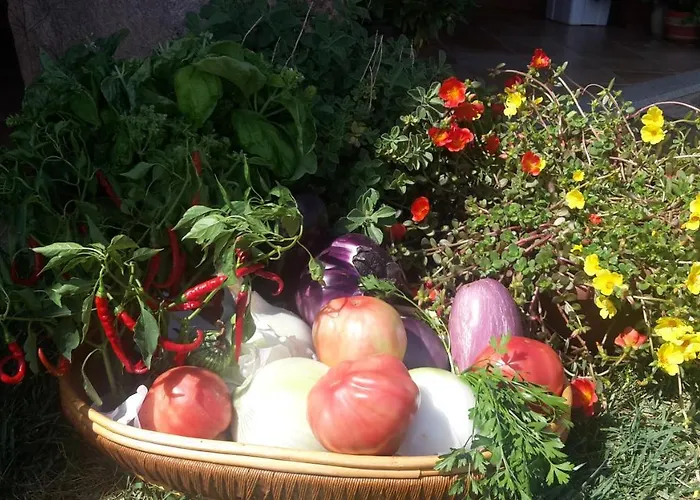 팜스테이 Lu Nodu *